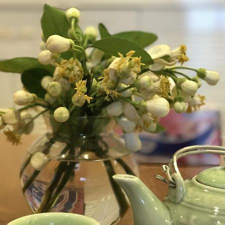 Luna'S Splendid Home هانوي المظهر الخارجي الصورة