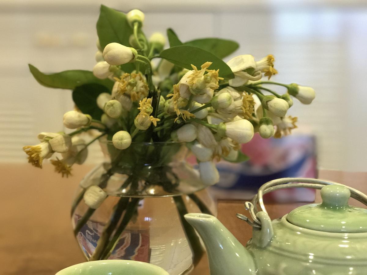 Luna'S Splendid Home هانوي المظهر الخارجي الصورة